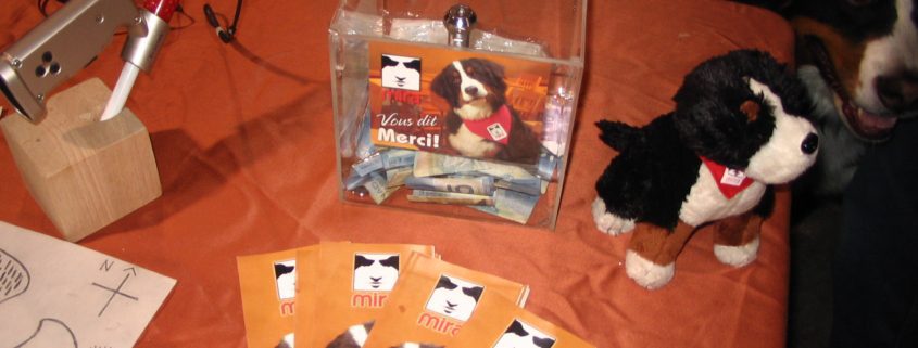 Donation box and dog-themed promotional items.