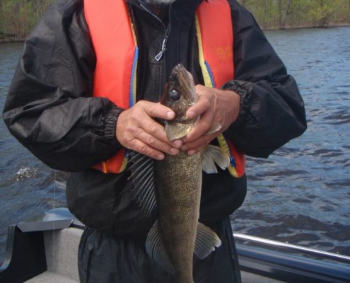 Man holding a fish on a boat.