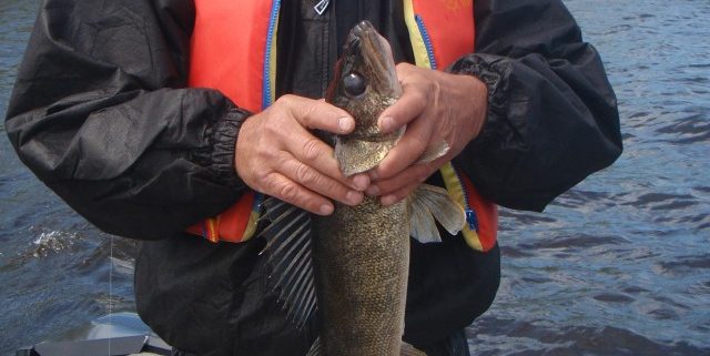 Man holding a fish on a boat.