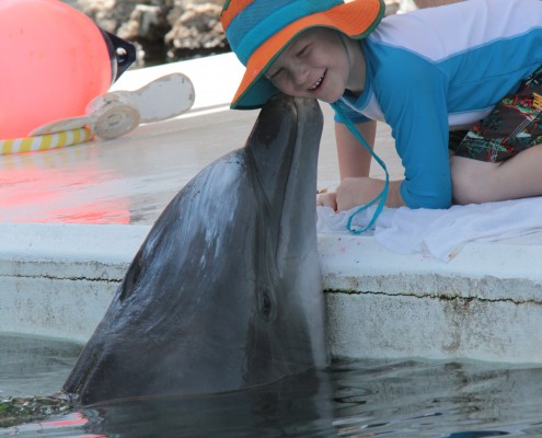 A dolphin interacts with a person wearing a hat near the water.