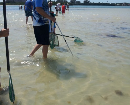 Person fishing in shallow clear water with a net and fishing rod.