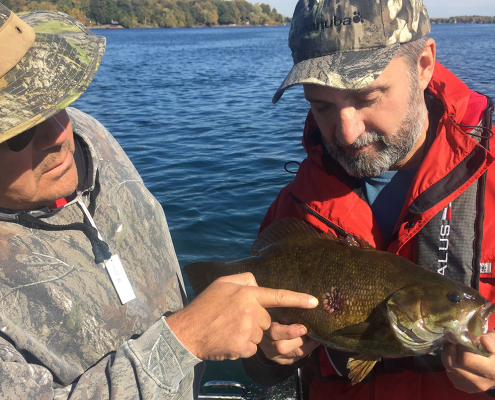 Two men examining a fish caught during fishing.