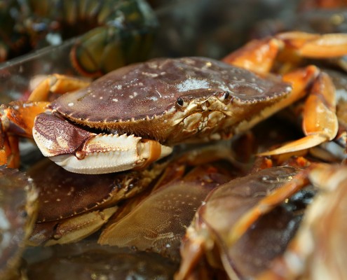 Close-up of a crab with its claw raised among other crabs.