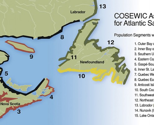 Map showing the route from Goose Bay to Labrador City and Wabush.
