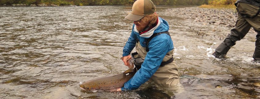 Person releasing a fish into a river.