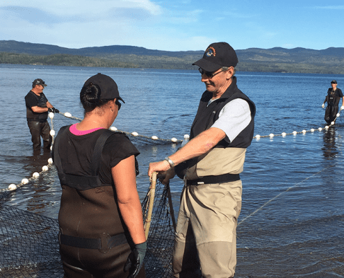 Greg Taylor with Watershed Watch's Salmon Society on the Pacific Coast cast nets to investigate why the slamon are slow to return