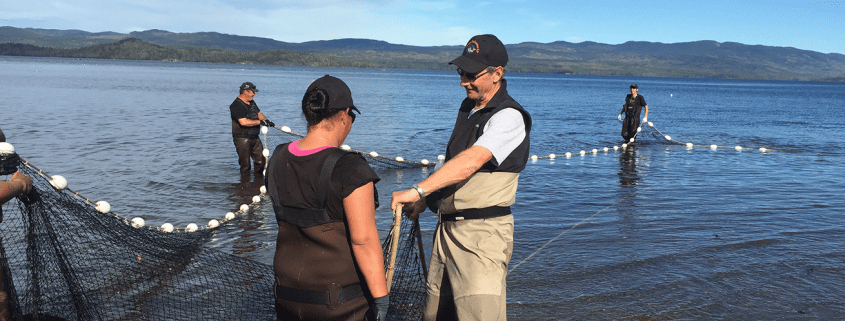 Greg Taylor with Watershed Watch's Salmon Society on the Pacific Coast cast nets to investigate why the slamon are slow to return