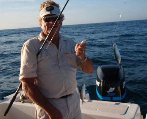 Roy with a number of Smelt on his line