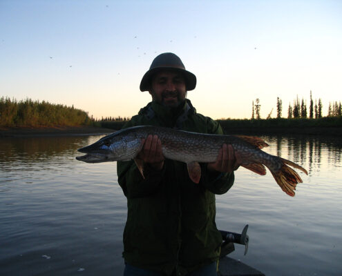 Person holding a large fish by a calm lakeside at sunset.