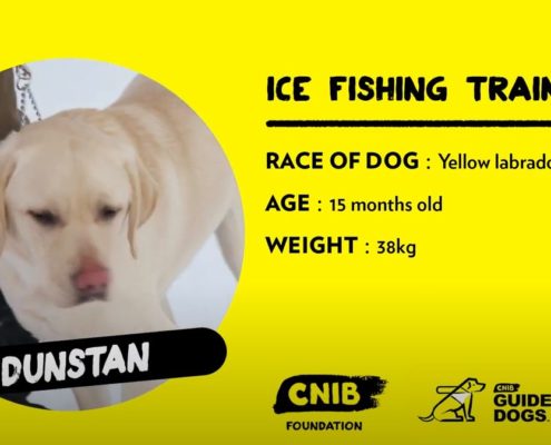 Cute dog dressed in a yellow raincoat holding a fishing rod.