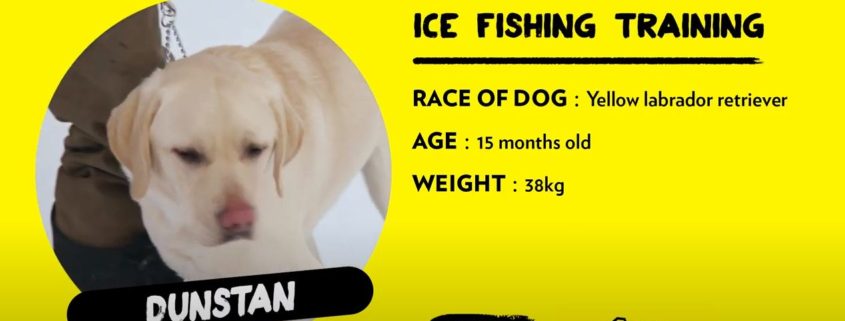 Cute dog dressed in a yellow raincoat holding a fishing rod.
