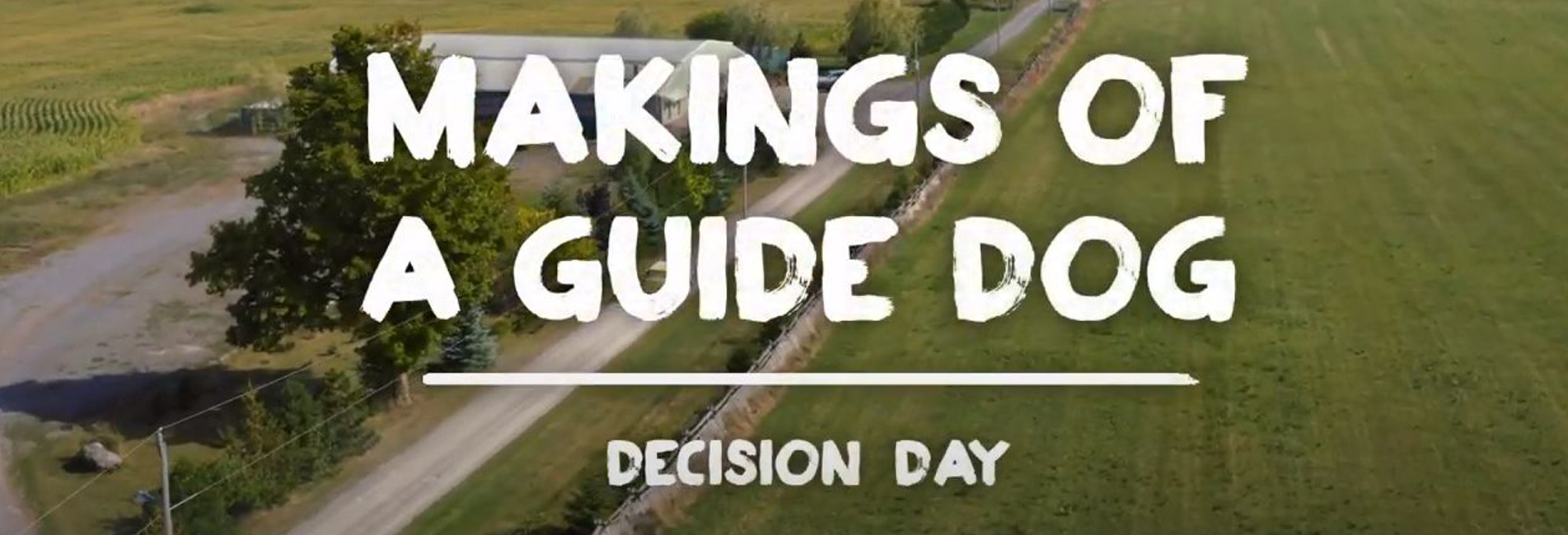 Episode 8-Decision Day