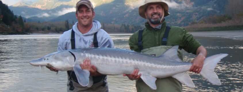 Two men holding large fish by a lake with mountains in the background.
