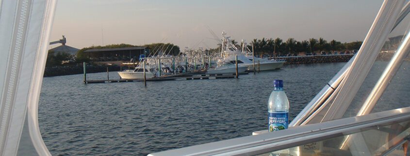View of a marina with boats docked at sunset.