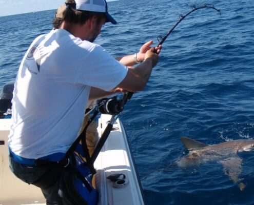 Lawrence-playing-300lb-Bull-Shark-e1347829529526