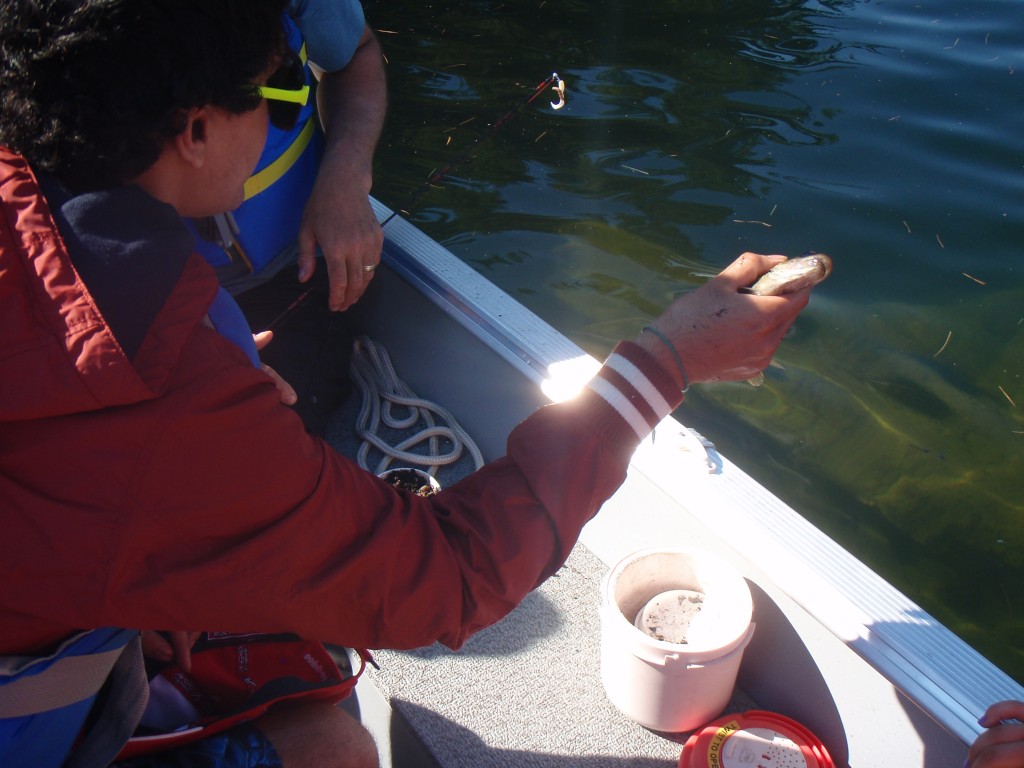 Person fishing from a boat at night using a flashlight.