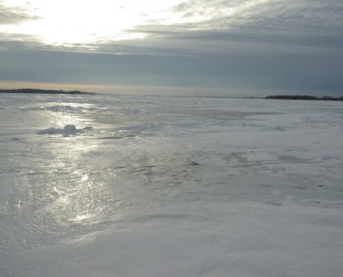 Frozen beach with icy waves under a cloudy sky.